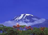 Safari frika Kilimandaro Kilimanjaro Zanzibra Tanznija