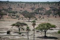 Trisma aentra Safari frika Kilimandaro Kilimanjaro Zanzibra Tanznija