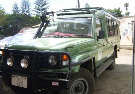 Safari frika Tanznija